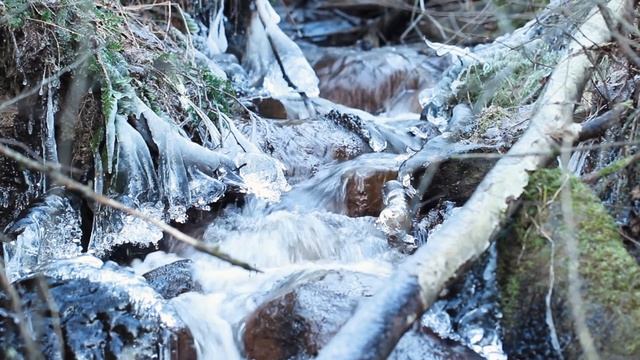 Звуки лесного зимнего ручья | Белый шум журчание воды 1 час релаксирующих звуков природы смотреть онлайн