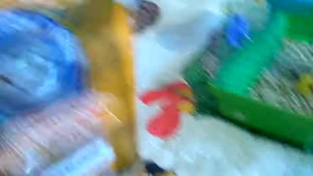 Что нужно для появления хомячка в доме смотреть онлайн