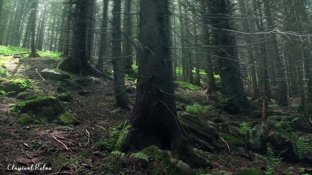 Классическая музыка помогает уменьшить стресс, усталость, депрессию и негатив. смотреть онлайн
