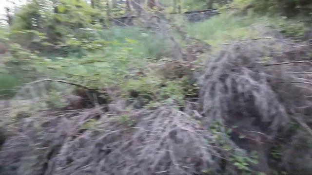 Обратно в прошлое заброшенный дом из СССР. Нашли старые открытки и письма. Ландшафтний двор. смотреть онлайн