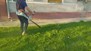 10 min with Stihl fs 560 c-em