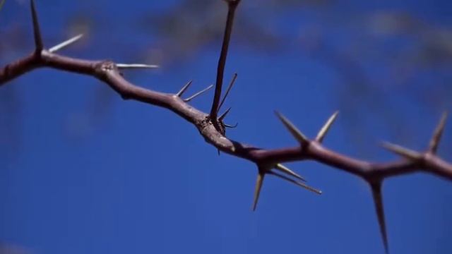 4 людей с этими именами попадут в рай смотреть онлайн