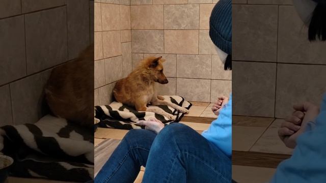 Лорочка не только выздоравливает физически, но и морально воспряла духом✊♥ смотреть онлайн