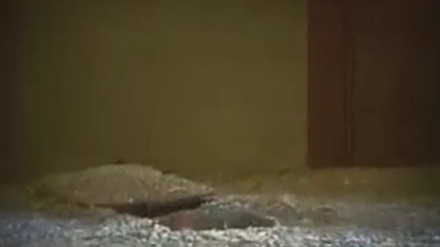 Ashab I Kehf Bolum 7