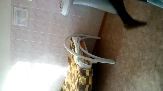 Пневмония левого лехкого тяжёлое состояние 2медсанчасть в городе Томске студенты смотреть онлайн