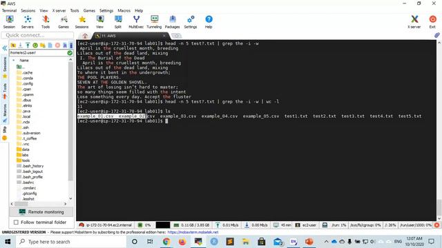 Bioinformatics 07: Basic Linux Commands. Part 3: Pipes, wildcards and variables. смотреть онлайн