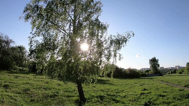 Из Весны в Лето.