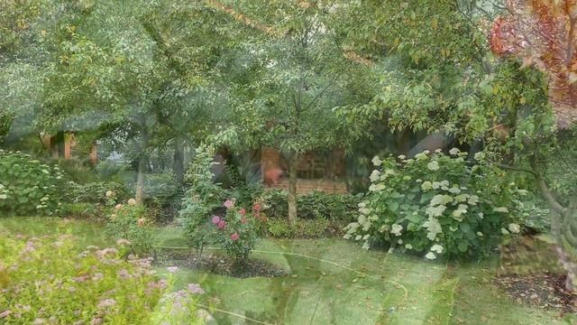 красивый сад в Подмосковье. Июль 2020 смотреть онлайн