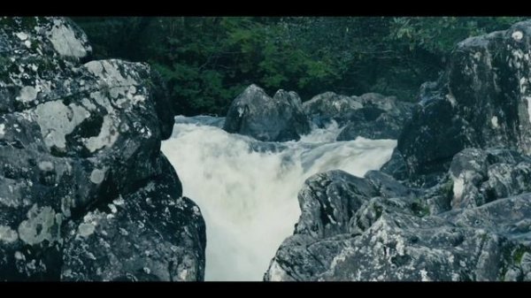 #HansZimmerMonth by Denis Danilov