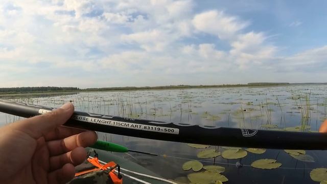 ВОТ ЭТО ЛИНЬ !!! МАТЁРЫЙ ЛИНЬ!!  Ловля линя на поплавочную удочку . Рыбалка 2021