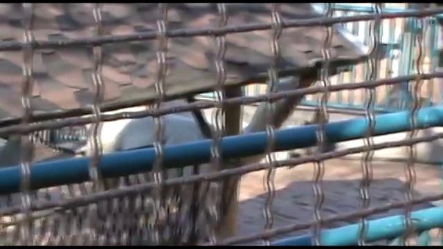 Belgrade from riverside ( SONY SX45 ).mp4 смотреть онлайн