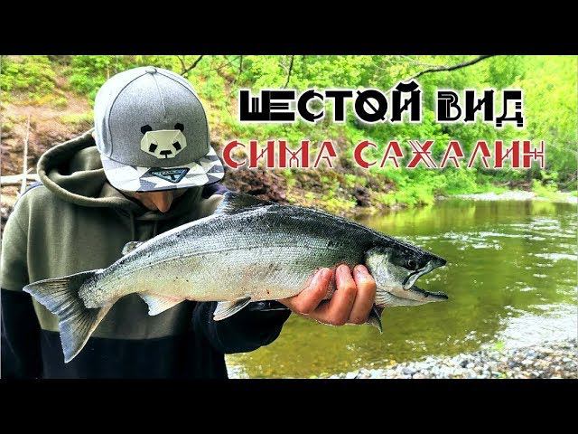 Рыбалка на Сахалине Сима 2019