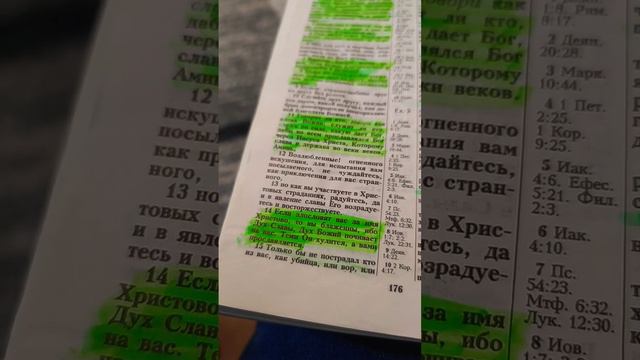 Если злословят вас за имя Христово, то вы блаженны! 1-е Петра 4:14 смотреть онлайн