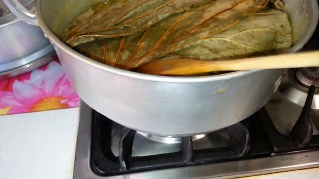 What you must do before using Dried Lotus leaves! смотреть онлайн