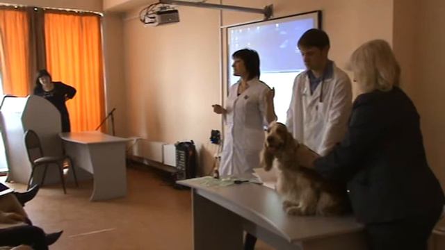 Мастер-класс Плаксиной А.В. (Аграрный колледж п. Школьный) смотреть онлайн