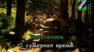 Караоке  Перекати Поле  Надежда Чепрага xvid