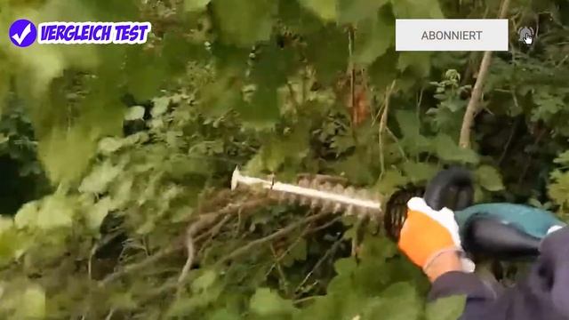 ✅ Akku Heckenschere Test (2023) ► DIE BESTE AKKU HECKENSCHERE! ? смотреть онлайн