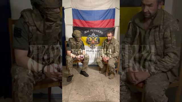 Ситуация на фронте: Часов Яр. Простой рядовой из числа ВСУ без всякой мотивации отказался биться да смотреть онлайн