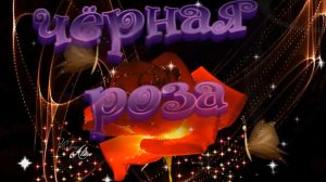 Владимир Тимофеев - Чёрная роза.