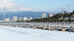 Стать спокойным, Роберт Адамс,  мудрость практикуют