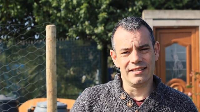 Grow ROSES from Cuttings Make FREE Plants смотреть онлайн