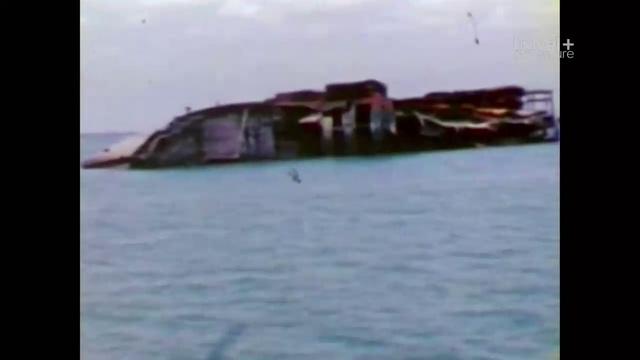 Дарви смотреть онлайн