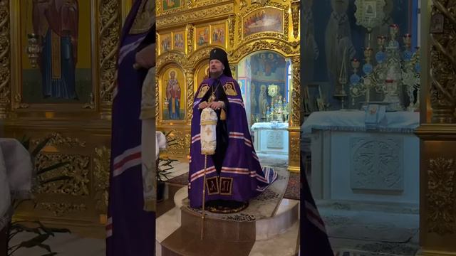 проповедь владыки Питирима на последний день святок смотреть онлайн