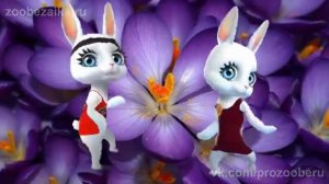 Поздравление с Днем Рождения Подруге! Красивые музыкальные поздравления ZOOBE Муз Зайка