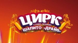 🎪 ЦИРК-ШАПИТО "ДРАЙВ" НА КУРАЖЕ В КАМЕНСКЕ-УРАЛЬСКОМ 29.08.24