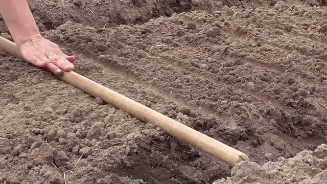 Деревенский участок \ Рабочая неделя \ Пашем землю, делаем грядки, сажаем овощи. смотреть онлайн