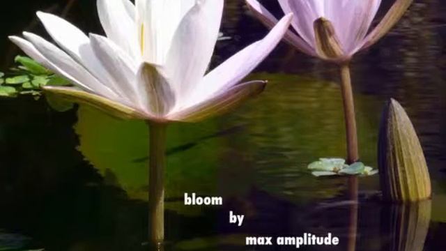 Sonic Sketch смотреть онлайн