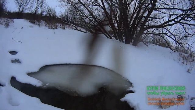 Охота на бобра зимой петлями.Февраль 2019. смотреть онлайн