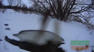 Охота на бобра зимой петлями.Февраль 2019.