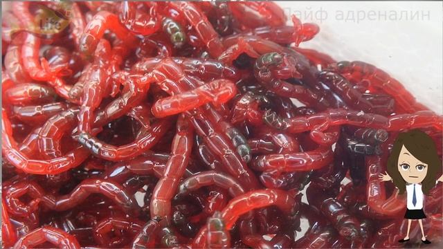 Лучший способ хранения мотыля! Лежит бесконечно! Как правильно хранить мотыля зимой? смотреть онлайн