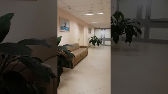 Петербург. Центр им. Алмазова. Кардиологическое отделение смотреть онлайн