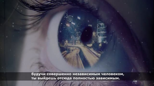Бесчисленные благословения Аллаха Шейх Ахмед Али смотреть онлайн