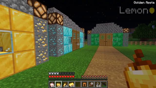What's INSIDE THE IRON GOLEM In Minecraft ! GOLEM IN THE HOSPITAL !
