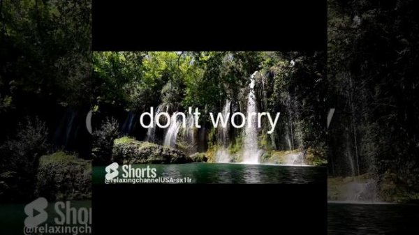 духовное единство #shorts #short #shortsvideo