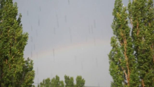 Поймал радугу смотреть онлайн