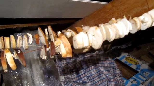 Сушка белых грибов Как сушить грибы дома Как сушить грибы на зиму Сушка грибов смотреть онлайн