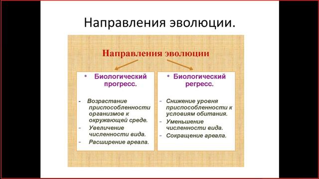 макроэволюция смотреть онлайн