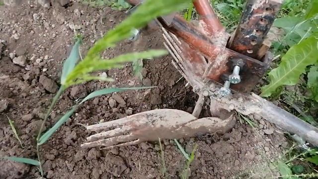 Окучивание 1 раз смотреть онлайн