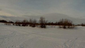 катаем на мото  собака  север