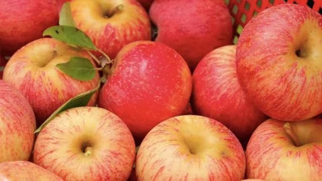 К чему снятся яблоки: толкование сна. Сонник Миллера смотреть онлайн