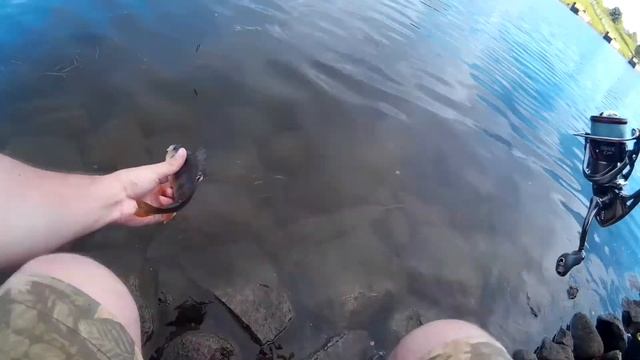 Рыбалка в Дубне на Волге. Джиг риг. Запрету нет смотреть онлайн