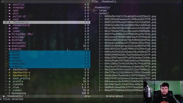 Vifm Is Amazing But Not The File Manager For Me смотреть онлайн