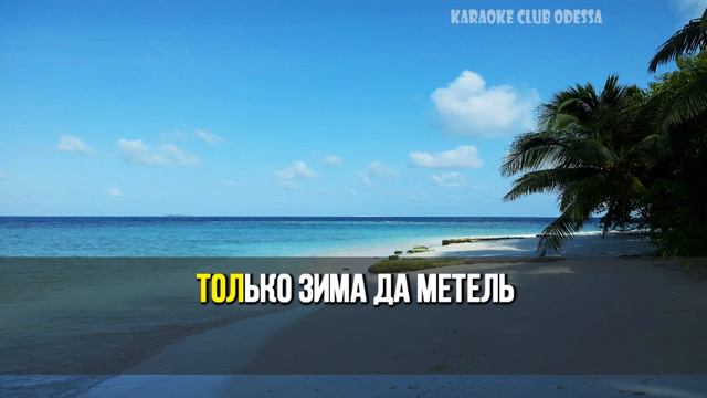 Зібров Павло = Белой Акации Гроздья Душистые (Karaoke) смотреть онлайн
