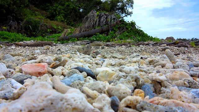 Kayaking Dunk Island смотреть онлайн