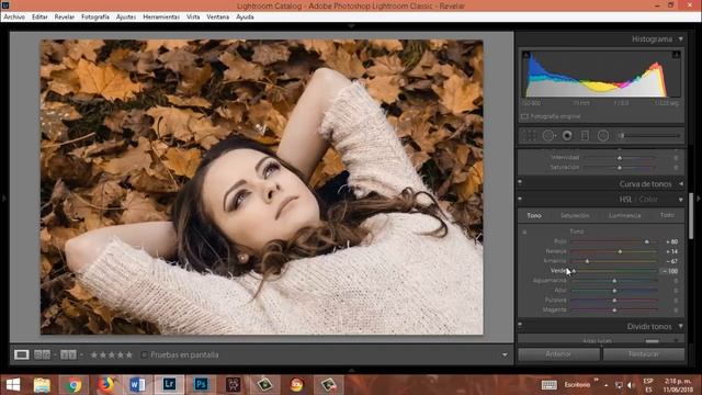COMO APLICAR UNA PALETA DE COLOR EN LIGHTROOM CC 2018 смотреть онлайн