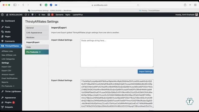 How to configure ThirstyAffiliates Affiliate Link Manager WordPress Plugin? смотреть онлайн